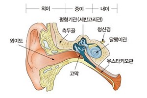 [이런 병, 저런 병] ⑪갑자기 빙글빙글 도는 이석증